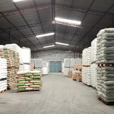 Kho bãi rộng chứa hàng bao xếp trên pallet